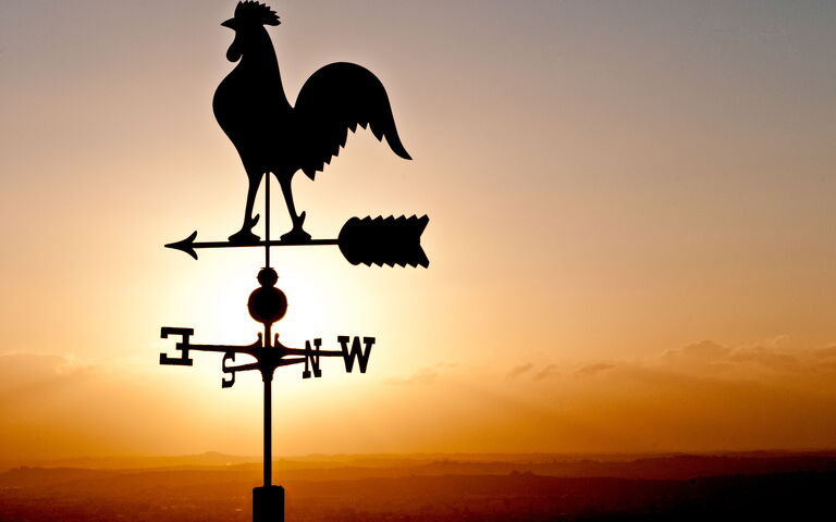 Villa Colle Di Sotto: all'aperto, Esterni