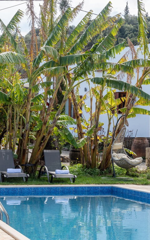 Klapas: Esterni, Giardino, Piscina