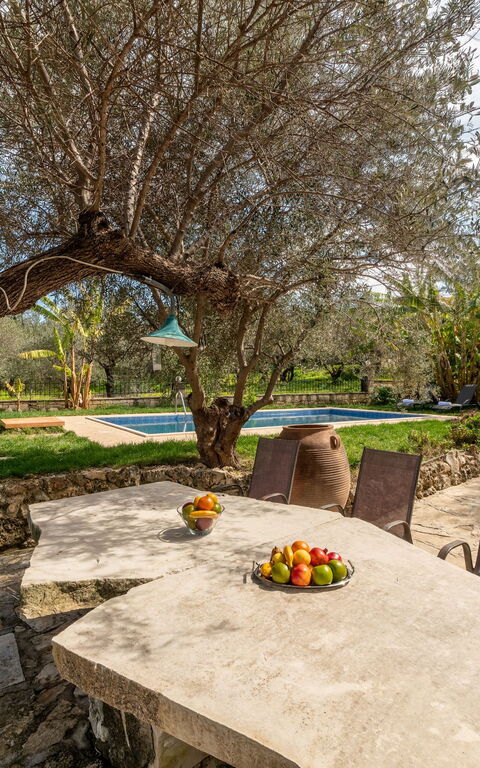 Klapas: Balcone / Terrazza / Patio, Esterni, Giardino, Piscina