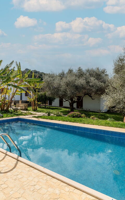 Klapas: Esterni, Giardino, Piscina