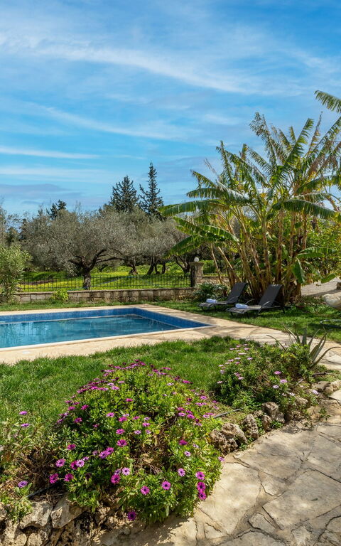 Klapas: Esterni, Giardino, Piscina