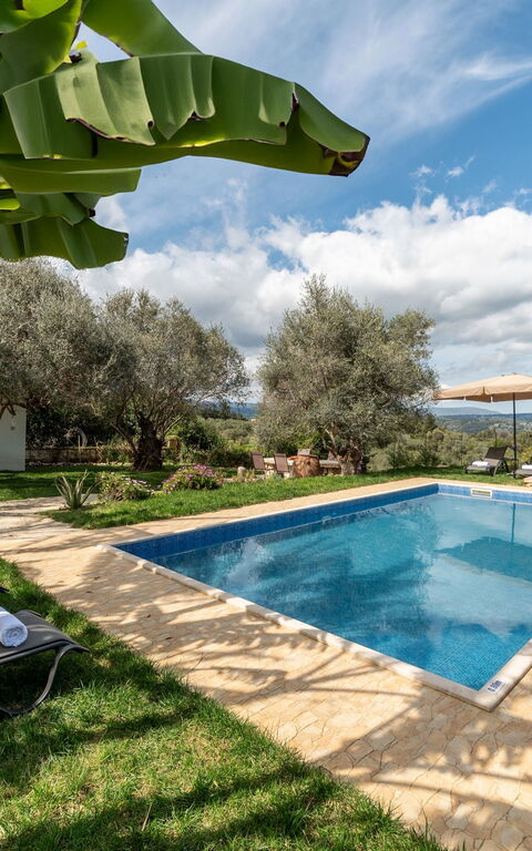 Klapas: Esterni, Giardino, Piscina