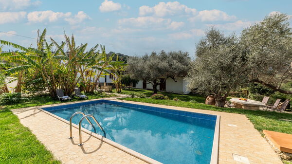 Klapas: Esterni, Giardino, Piscina