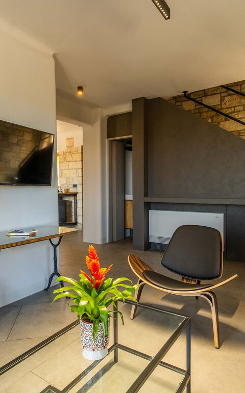 Villa Seiri: Soggiorno