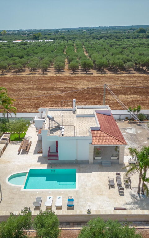 Villa Dolcevivere: all'aperto, Estate, Esterni, Piscina, Vista Panoramica