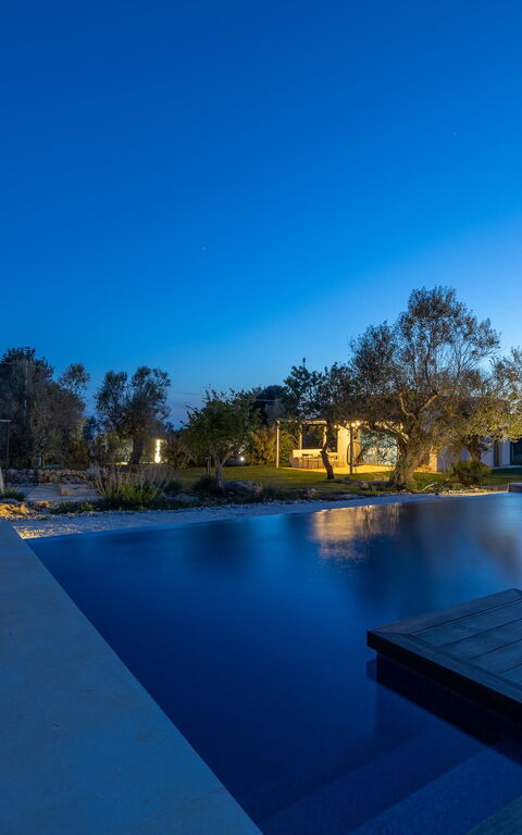 Villa Platino: all'aperto, Esterni, Piscina