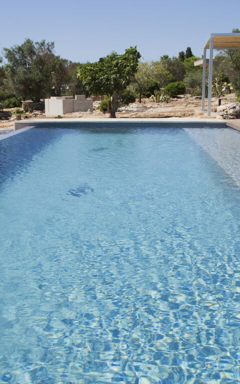 Villa Platino: all'aperto, Esterni, Piscina