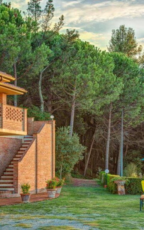 Leccino: all'aperto, Entrata Principale, Esterni, Giardino