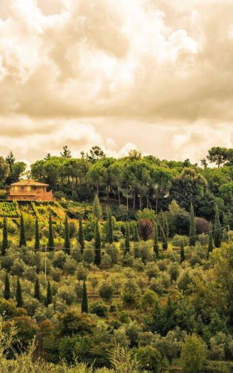 Leccino: all'aperto, Esterni, Vista Panoramica