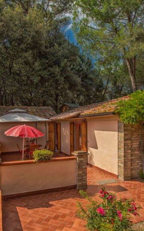 Leccino: all'aperto, Balcone / Terrazza / Patio, Esterni