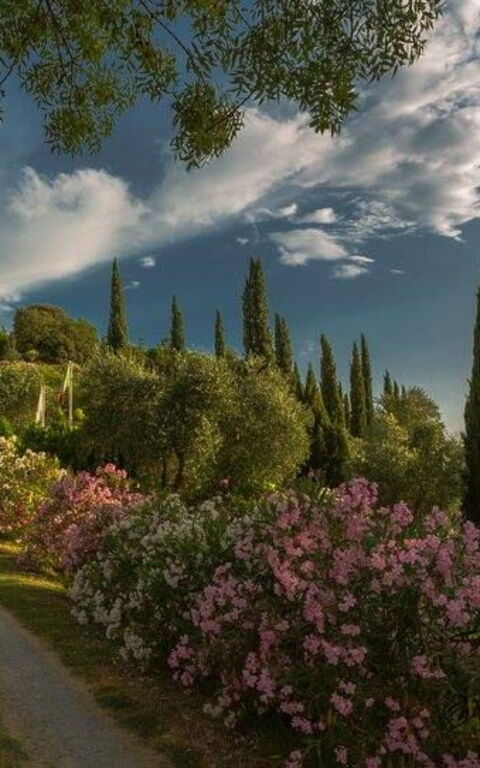 Leccino: all'aperto, Esterni, Giardino, Vista Panoramica