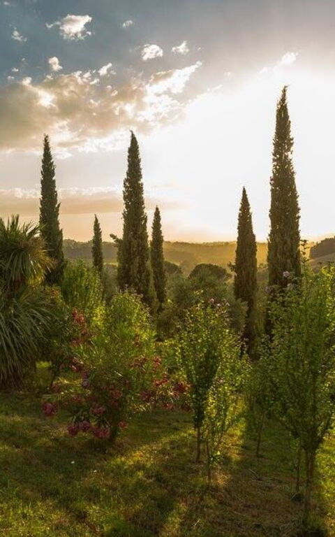 Leccino: all'aperto, Esterni, Giardino, Vista Panoramica