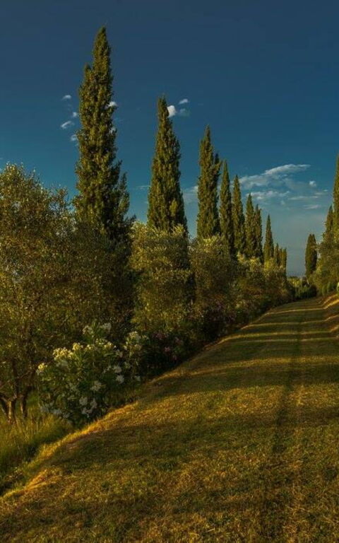 Leccino: all'aperto, Esterni, Giardino, Vista Panoramica