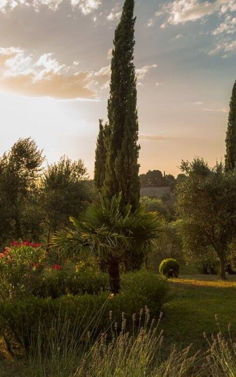 Leccino: all'aperto, Esterni, Vista Panoramica