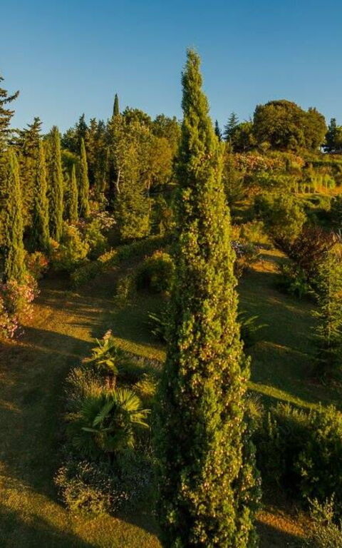 Leccino: all'aperto, Esterni, Vista Panoramica