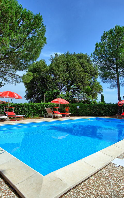 Leccino: all'aperto, Giardino, Piscina