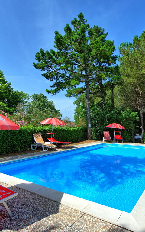 Leccino: all'aperto, Giardino, Piscina