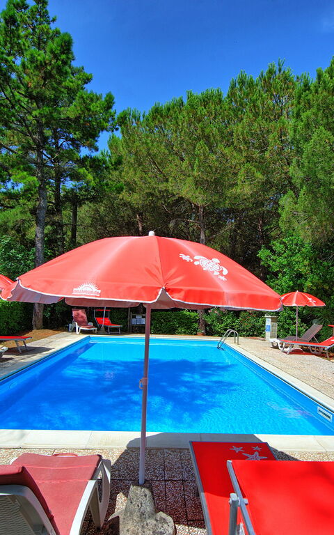 Leccino: all'aperto, Giardino, Piscina