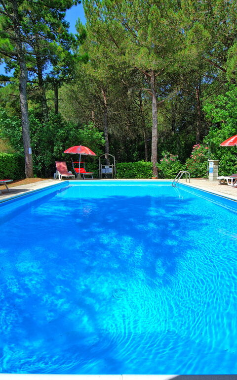 Leccino: all'aperto, Giardino, Piscina