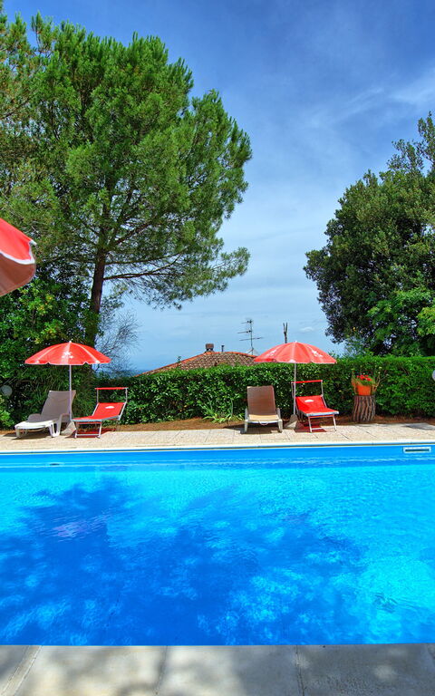 Leccino: all'aperto, Giardino, Piscina