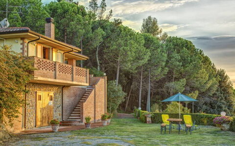 Alloggio Leccino 5: Giardino