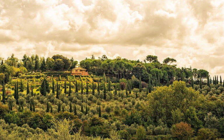 Leccino: all'aperto, Esterni, Vista Panoramica