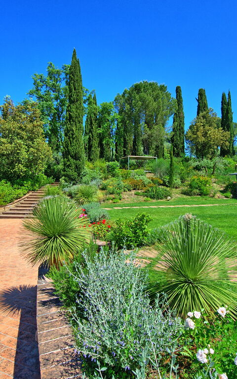 Villa Barbarella: all'aperto, Giardino, Piscina