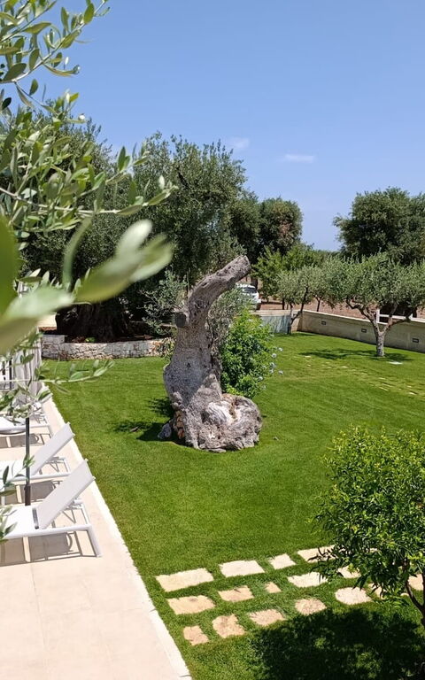 Terra Mater: all'aperto, Esterni, Giardino, Piscina