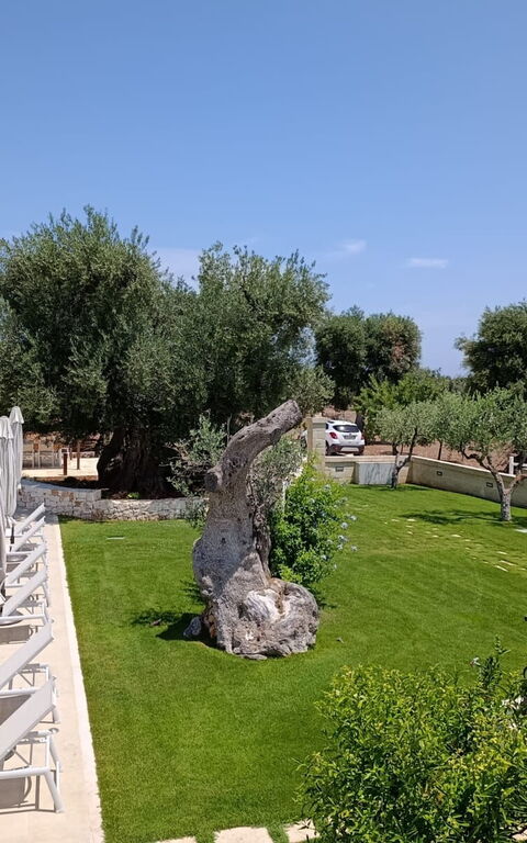 Terra Mater: all'aperto, Esterni, Giardino, Piscina