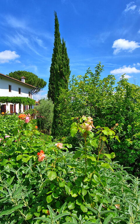 Villa Mami: all'aperto, Giardino