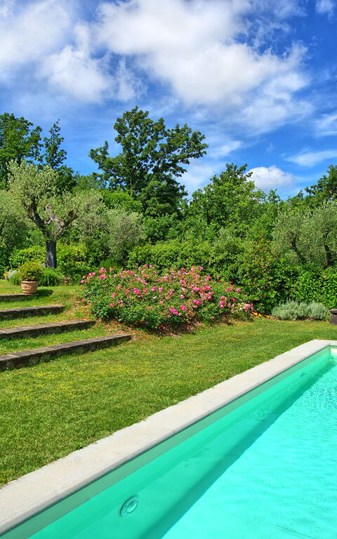 Villa Mami: all'aperto, Estate, Giardino, Piscina