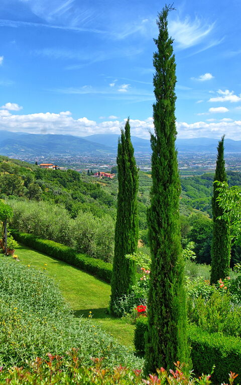 Villa Mami: all'aperto, Giardino, Vista Panoramica