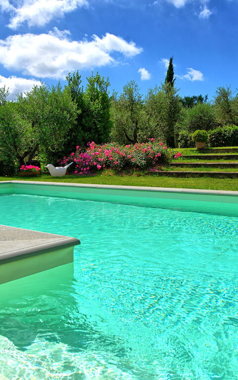 Villa Mami: all'aperto, Piscina