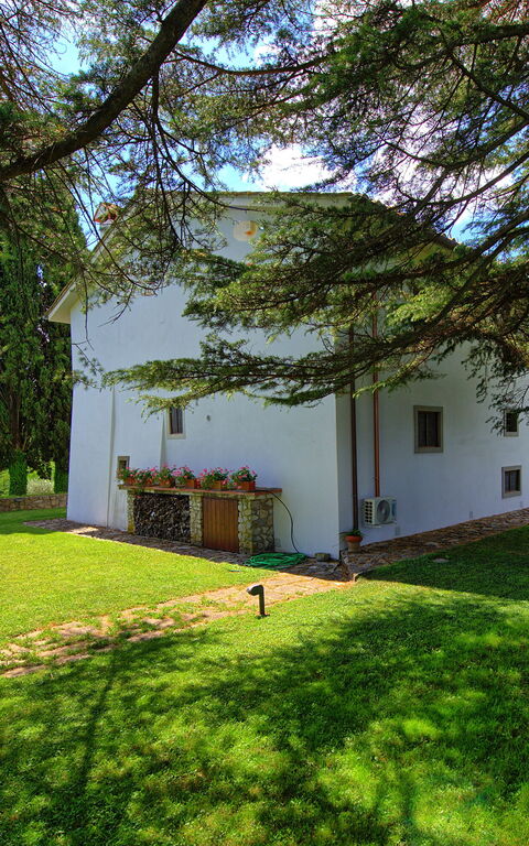 Villa Mami: all'aperto, Esterni, Giardino