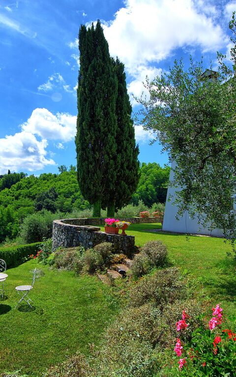 Villa Mami: all'aperto, Giardino