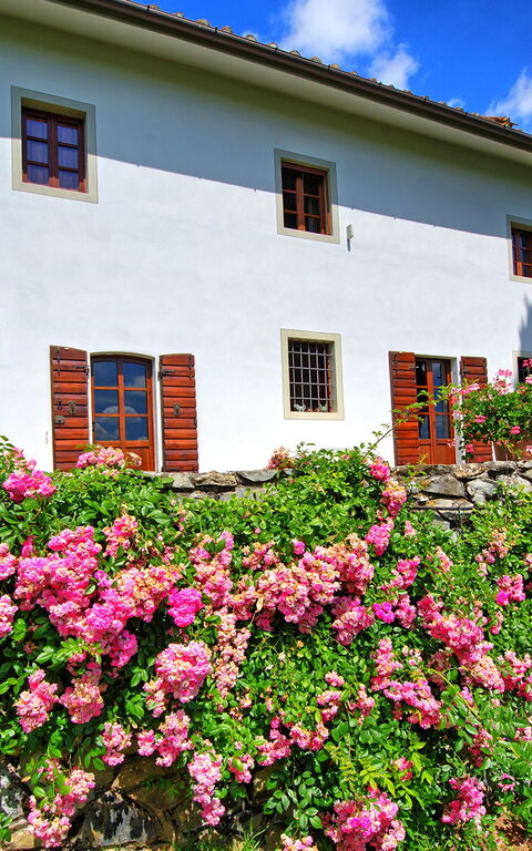 Villa Mami: all'aperto, Esterni, Giardino