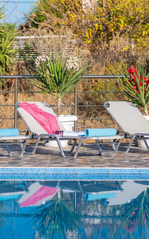 Villa Rose: all'aperto, Esterni, Piscina