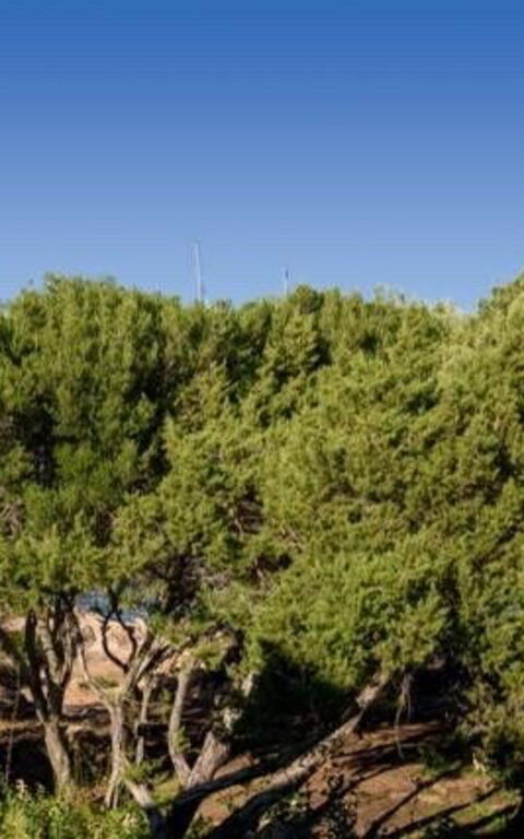 Lentischio: Vista Panoramica