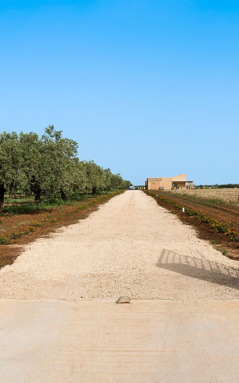 Villa Cavalè: all'aperto, Entrata Principale, Esterni