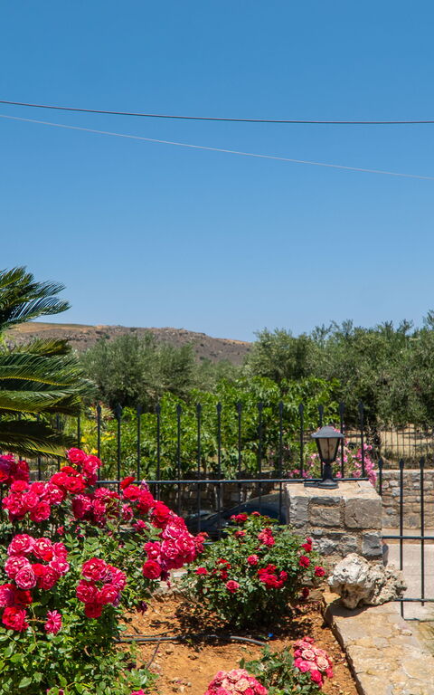 Villa Aetheria: all'aperto, Esterni