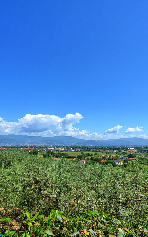 Villa Marusca: all'aperto, Esterni