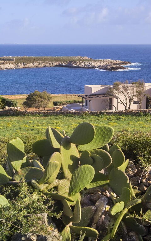 Tenuta Stornello: all'aperto, Esterni, Giardino, Vista Panoramica