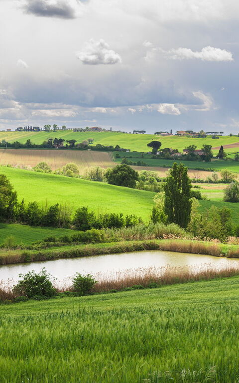 Villa la Contea: all'aperto, Esterni, Giardino, Vista Panoramica