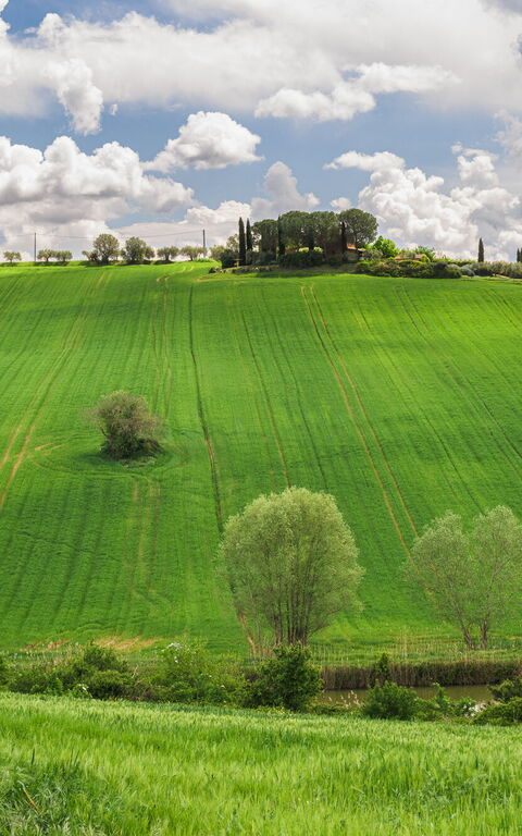 Villa la Contea: Vista Panoramica