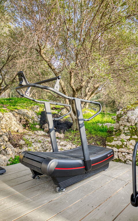 Villa Dominante: all'aperto, Esterni