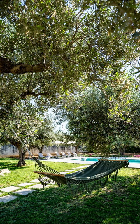 Villa Virginia: all'aperto, Esterni, Giardino, Piscina