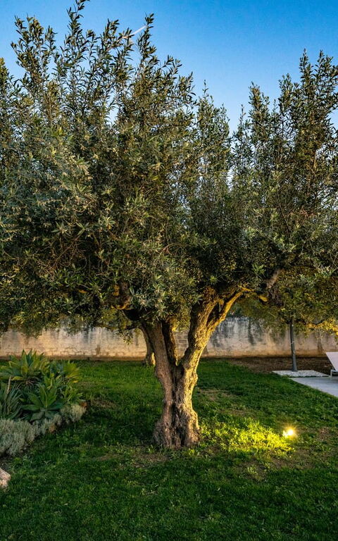 Villa Virginia: all'aperto, Esterni, Giardino