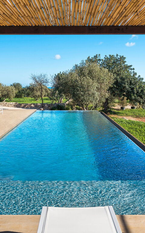 Villa Ninetta: all'aperto, Esterni, Piscina