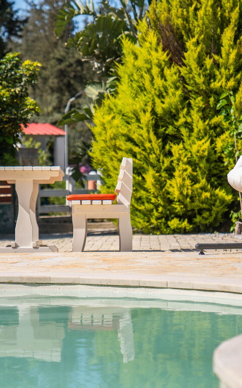 Villa Nikolas: all'aperto, Esterni, Piscina