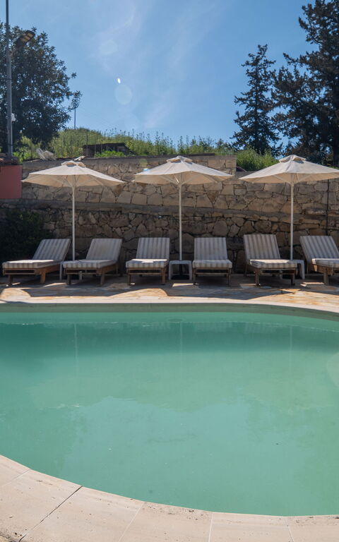 Villa Nikolas: all'aperto, Esterni, Piscina